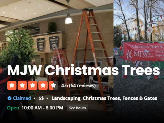Christmas Trees Delivered to Your Door